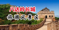 插骚逼污网站中国北京-八达岭长城旅游风景区