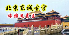 调教白虎黄色视频中国北京-东城古宫旅游风景区